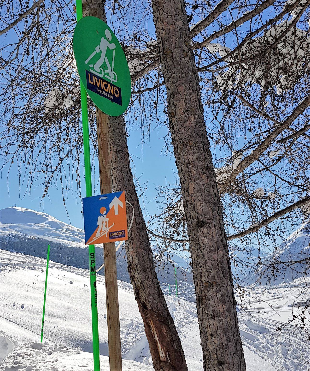 Livigno snow-shoes trail: Immagine 2